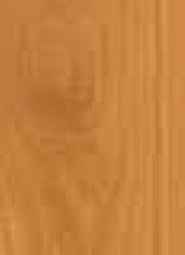 WOCA Exterior Oil Tester Kit